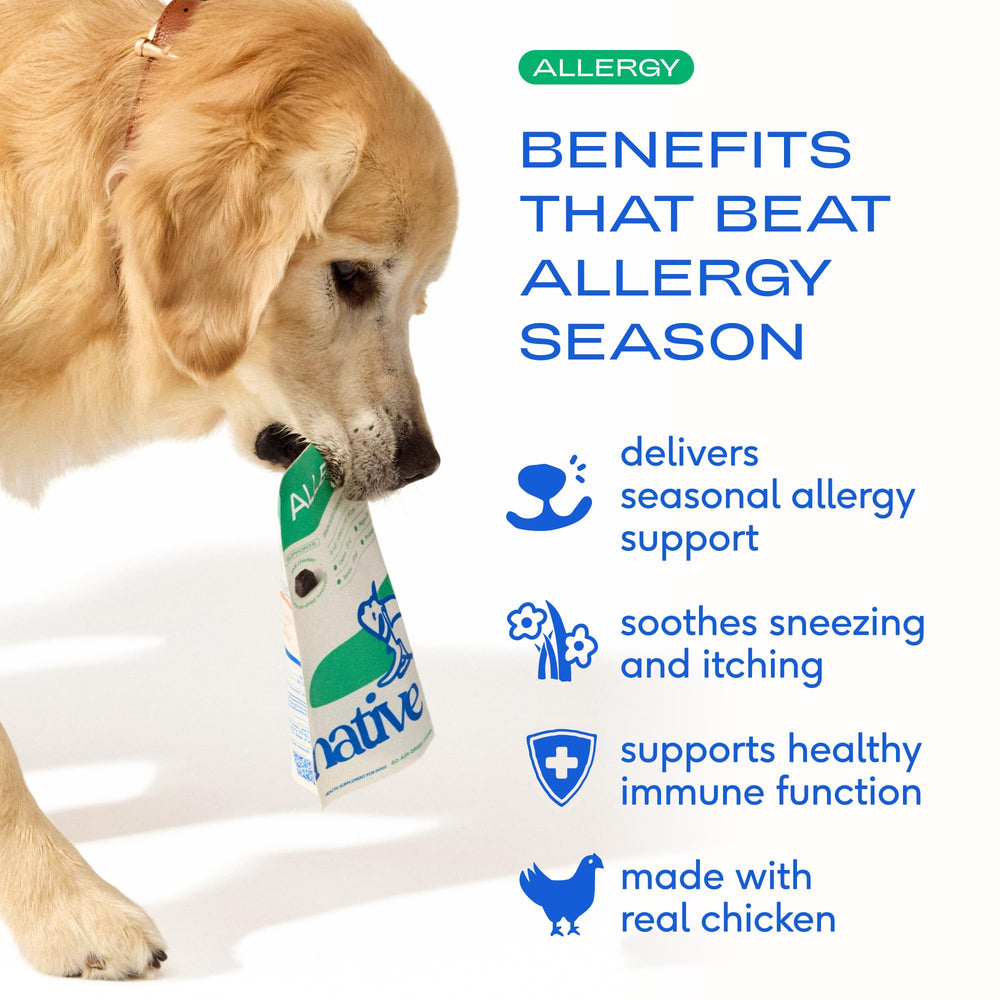 Native Pet Dog Allergy Chews real chicken flavor supports daily itching relief