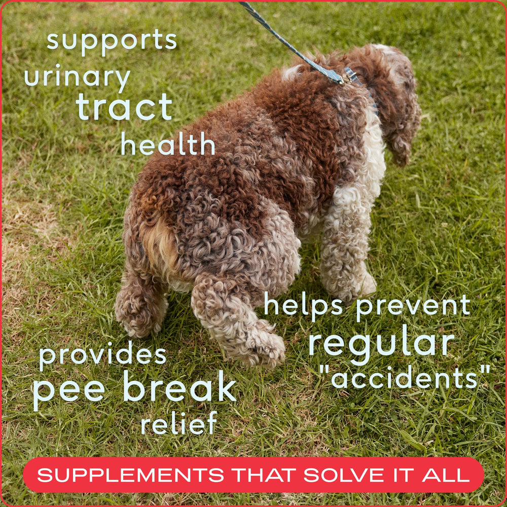 Native Pet dog UTI D-Mannose and probiotics chew for urinary tract health.