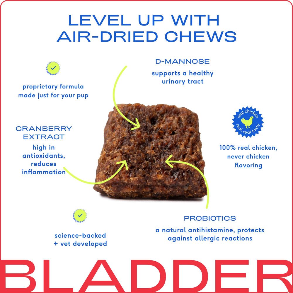 Native Pet dog UTI real-chicken flavor chew for tasty daily bladder care.