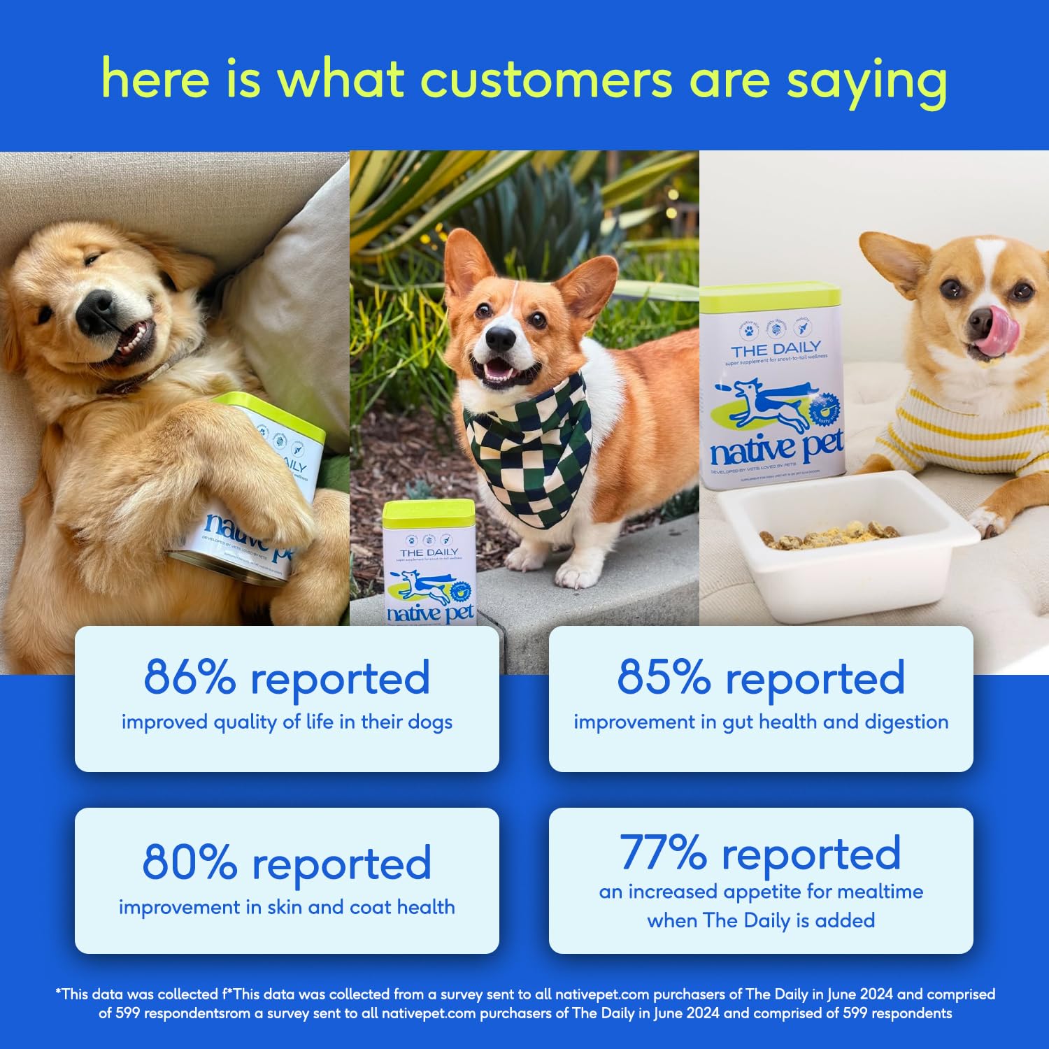Native Pet vitamins are manufactured in the USA for reliability.