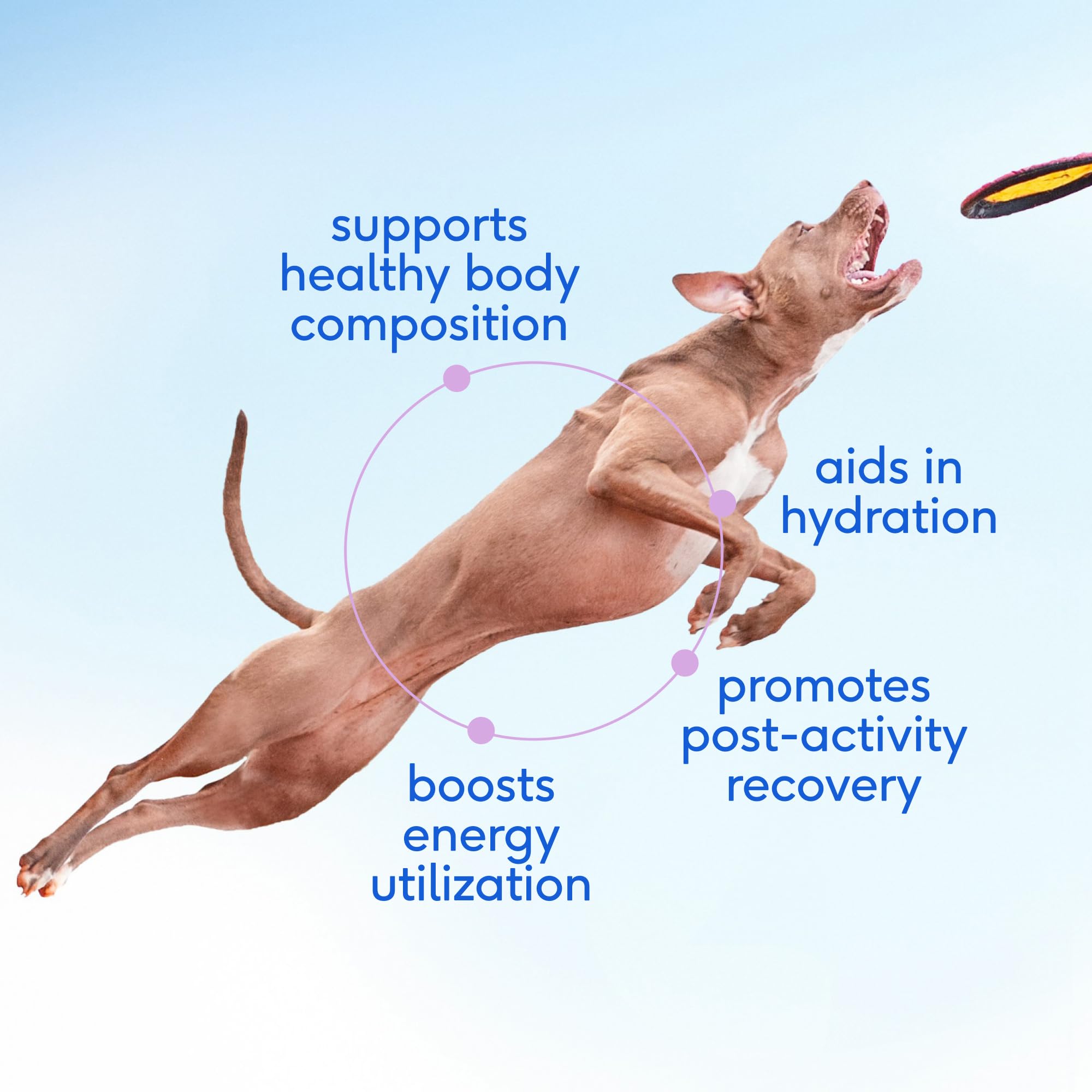 Native Pet Goat Milk powder top-off over food enhances flavor and nutrition