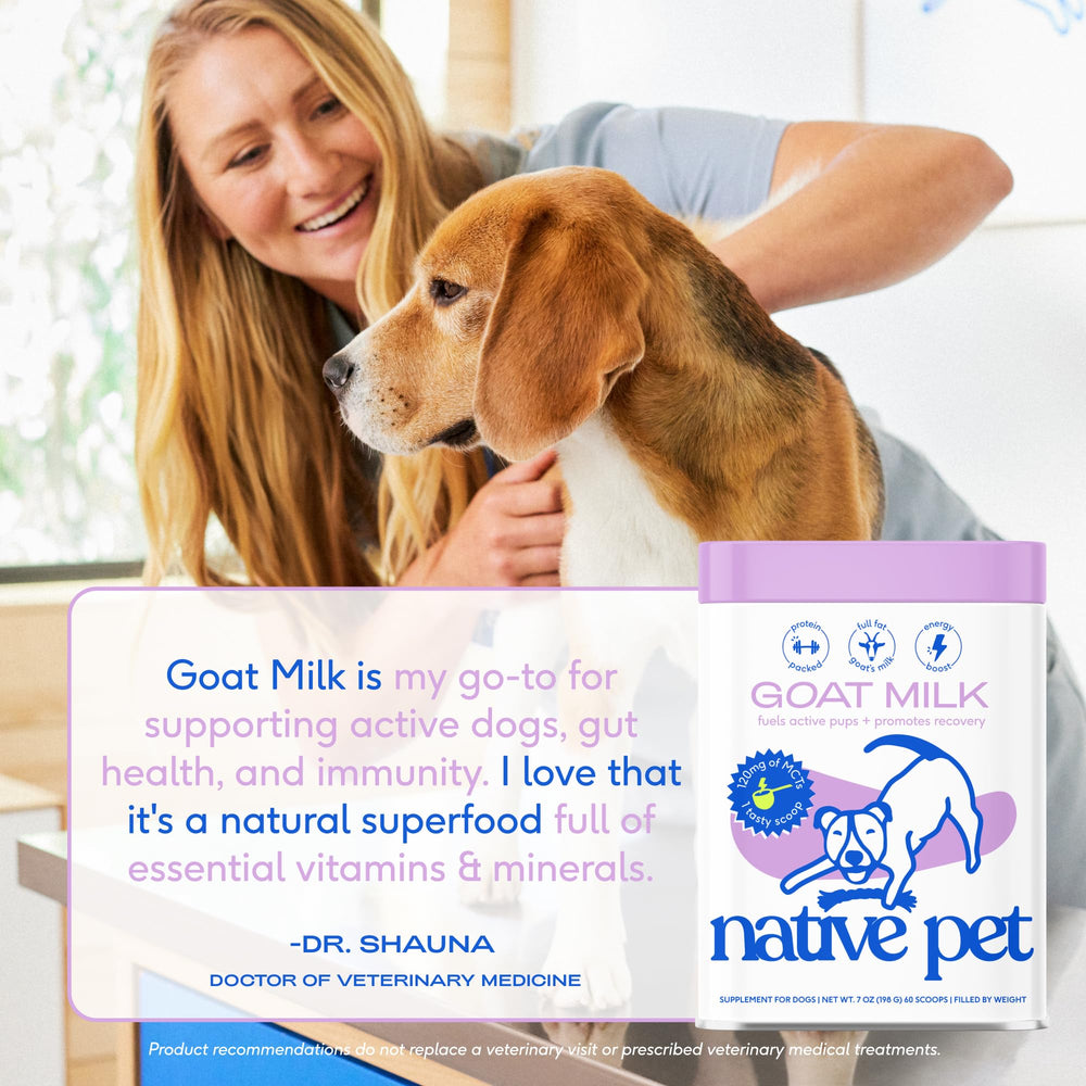 Native Pet goat milk powder supports recovery and energy after play for active dogs