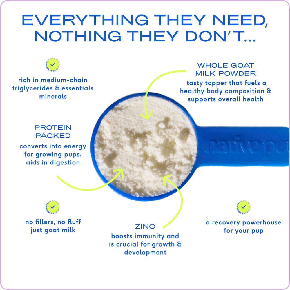 Native Pet goat milk powder mixed with water forms a creamy drink for hydration