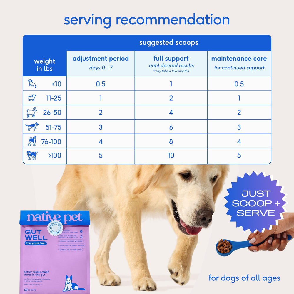 Native Pet GutWell USA-made formula with vet nutritionist guidance.