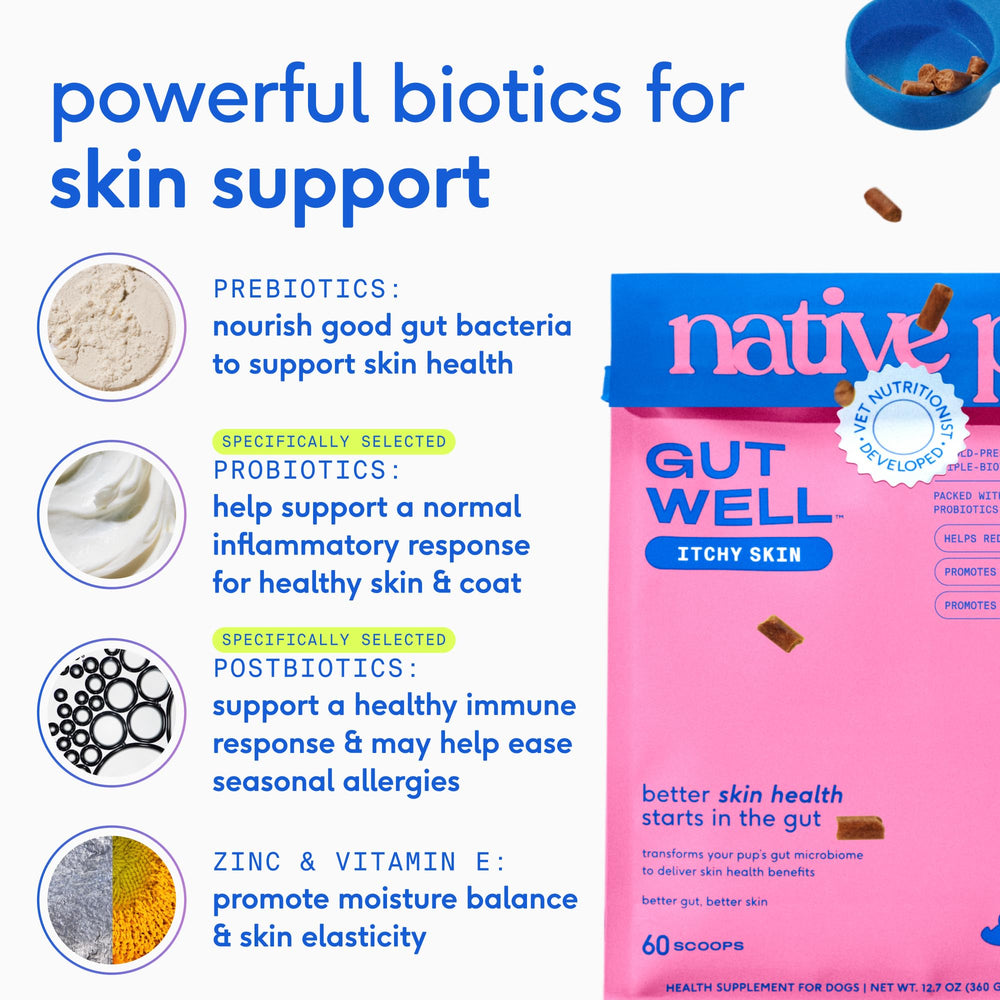 Native Pet GutWell made in the USA with clean ingredients.