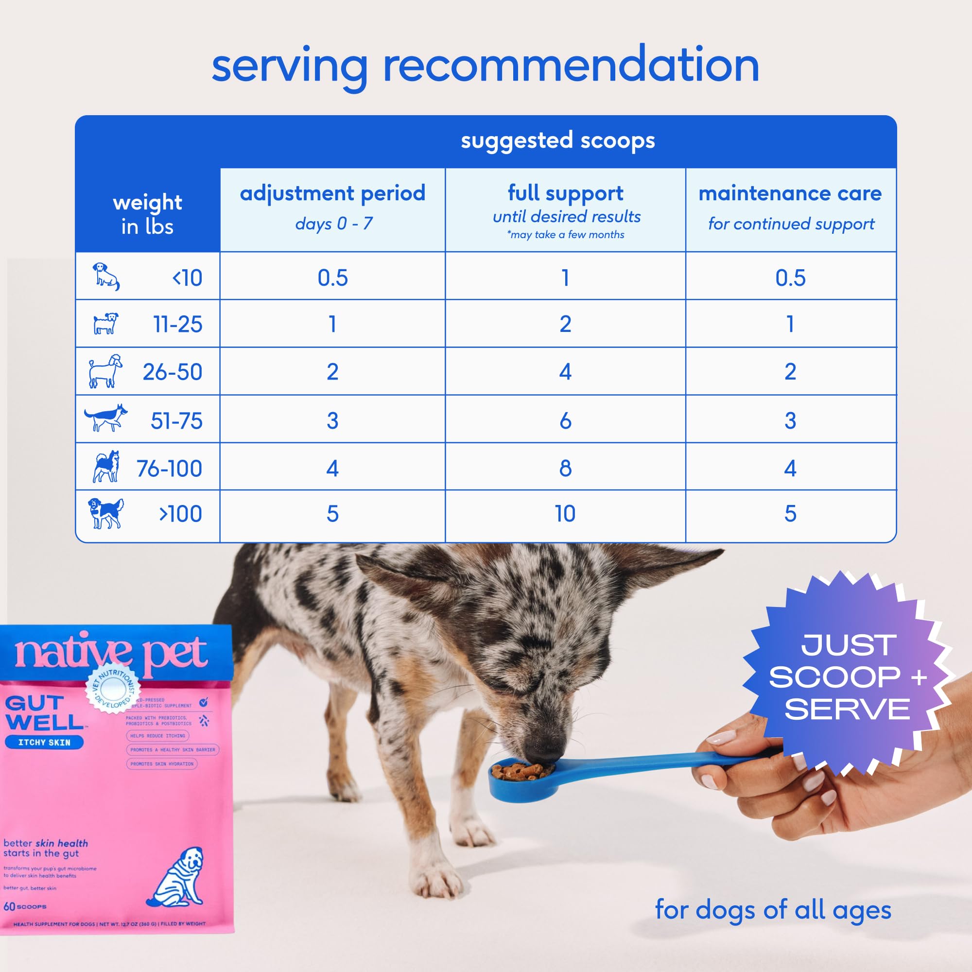 Native Pet GutWell pumpkin inclusion supports gut health and skin resilience.