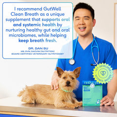 Native Pet GutWell scoop pouring powder beside a dog bowl for easy administration
