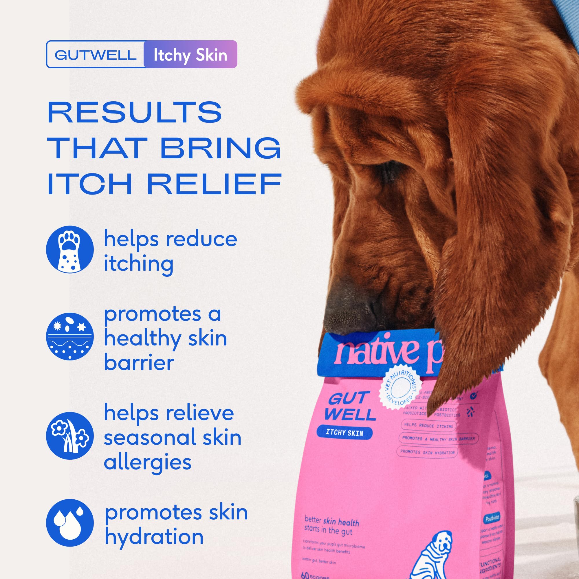 Native Pet GutWell skin hydration boost supports healthy dog skin.