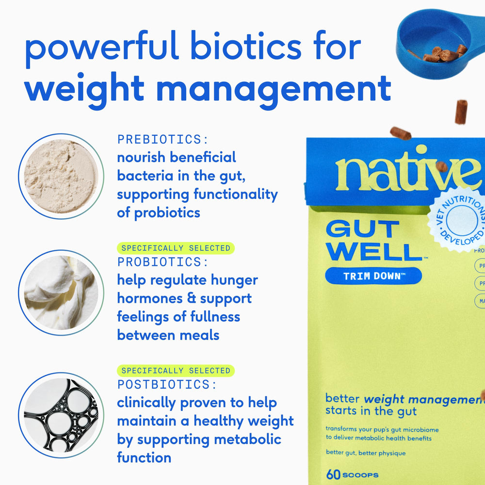 Native Pet GutWell Trim Down no fillers label highlighting clean ingredients.