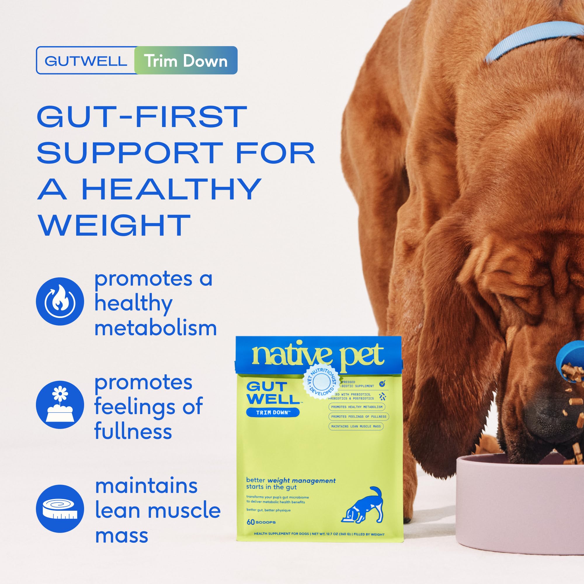 Native Pet GutWell Trim Down scoop illustrating convenient daily serving for canine weight management.