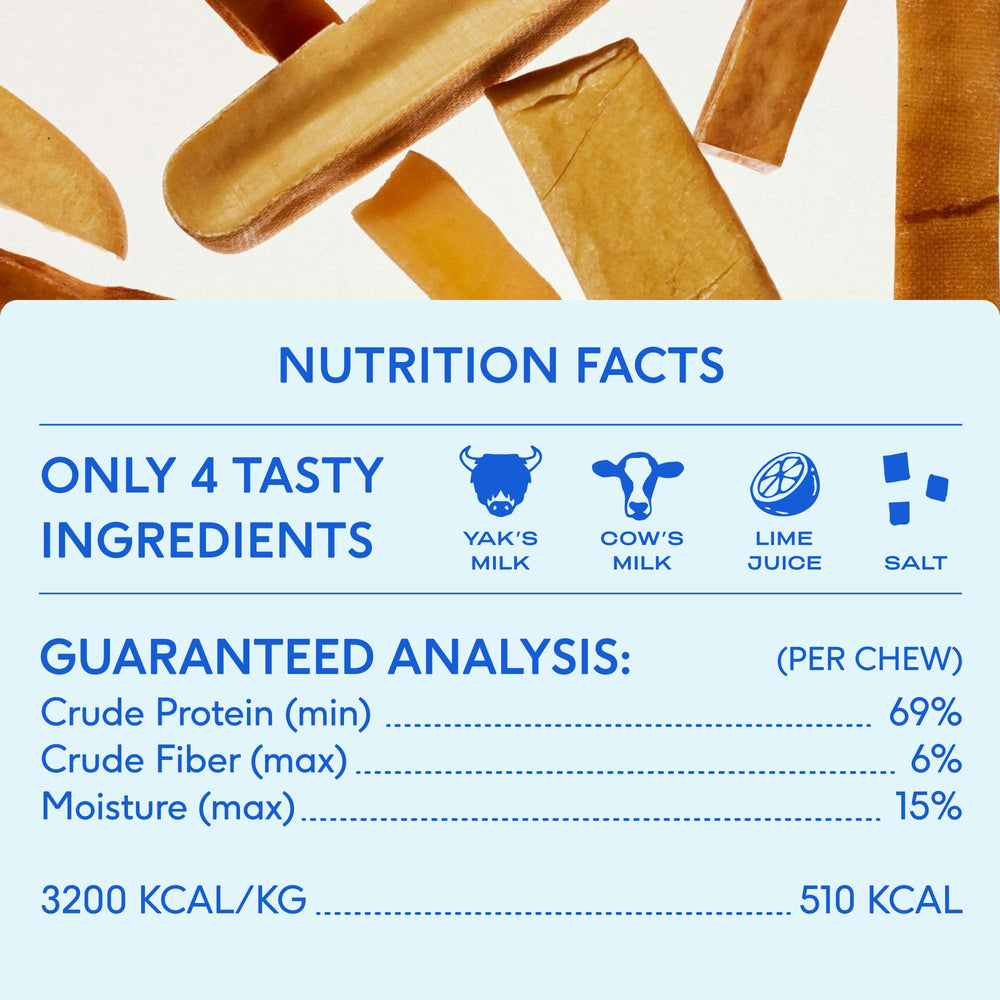 Native Pet Himalayan Yak Chews being gnawed by a small dog for durable, protein-rich chew.