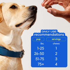 Native Pet Omega Skin chews ingredients panel shows omega-3 and probiotics