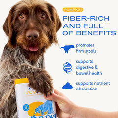 Native Pet Organic Pumpkin Powder close-up highlighting fiber-rich formula for gut health
