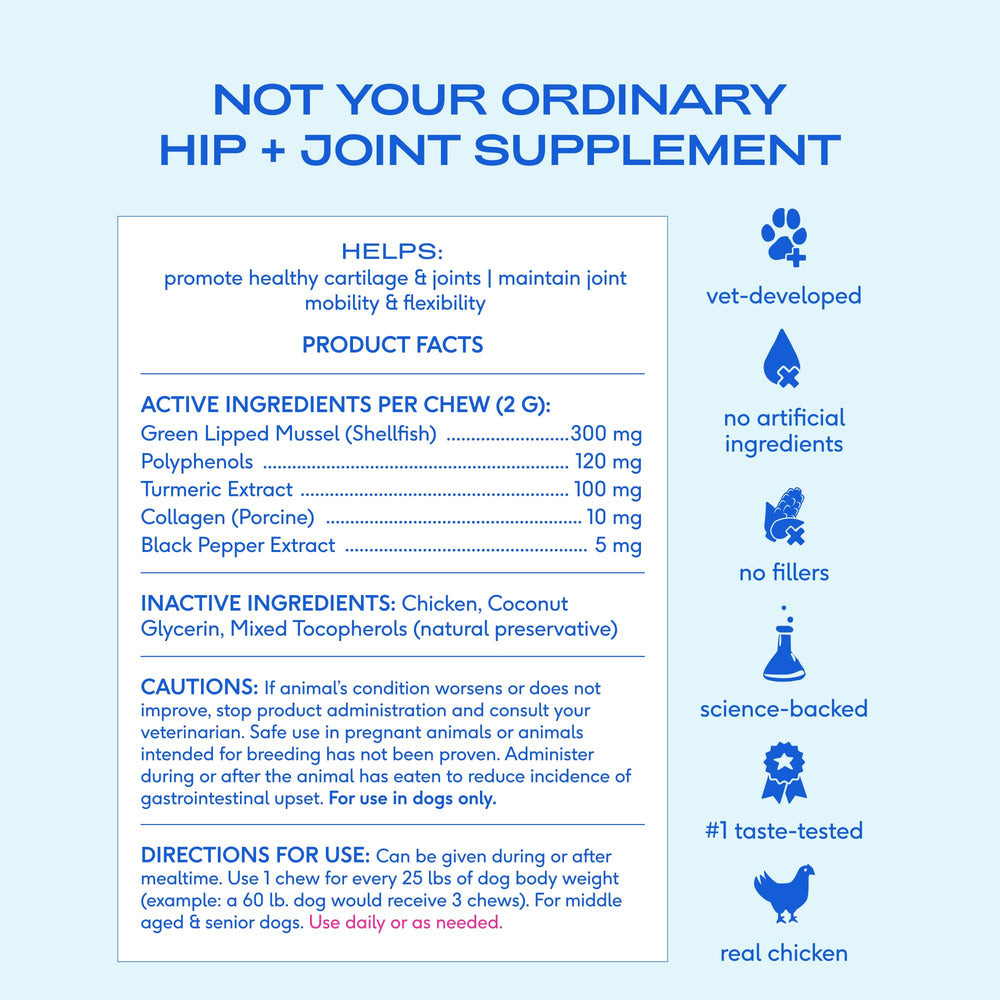 Native Pet Pain Relief for Dogs collagen strengthens joints and mobility