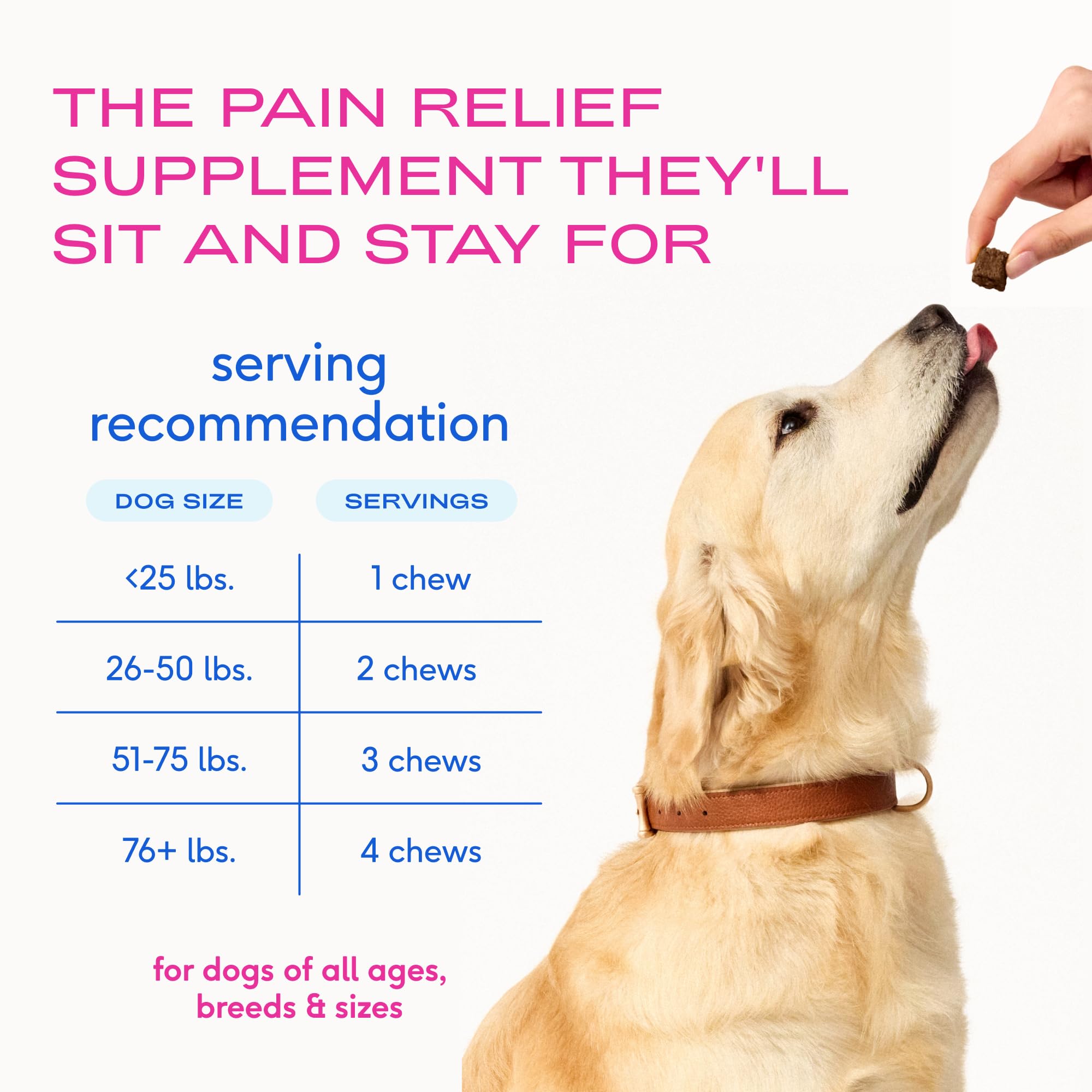 Native Pet Pain Relief for Dogs fast-acting chews ease stiffness and boost daily activity