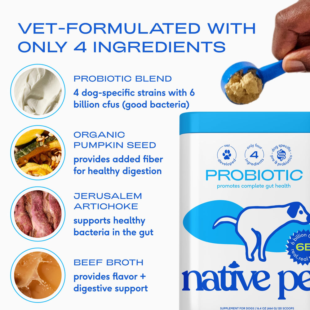Native Pet Probiotics beef-bone-broth-flavor bottle demonstrates tasty topper for meals.