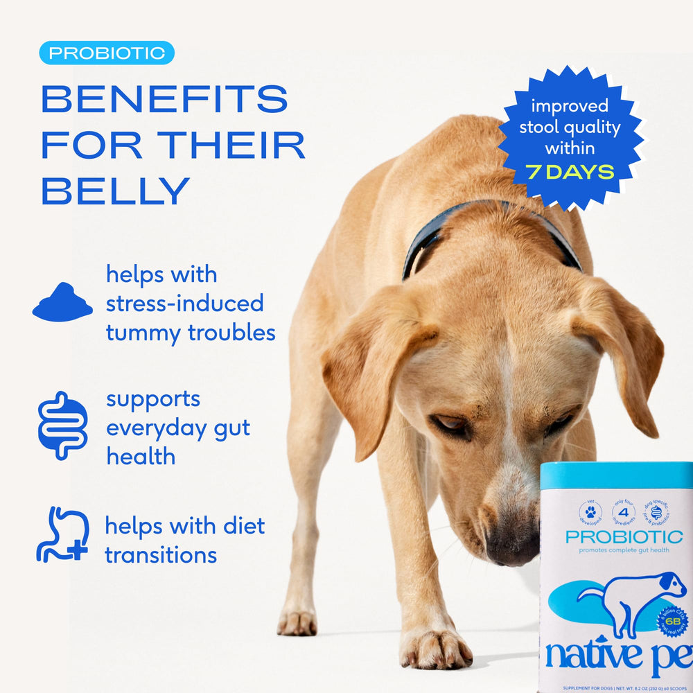 Native Pet Probiotics digestive enzymes close-up highlighting enzymes aiding digestion for dogs.
