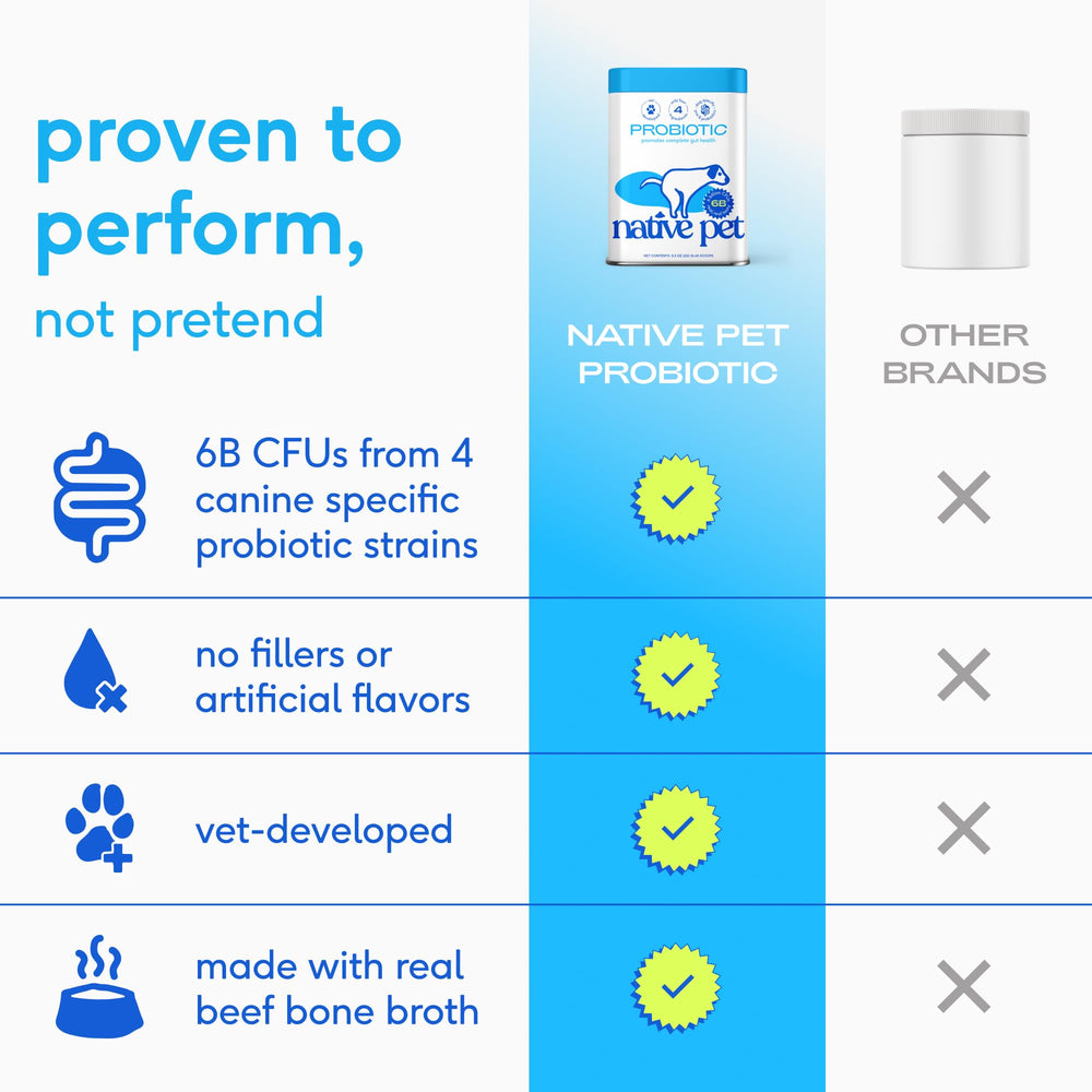 Native Pet Probiotics for Dogs beef bone broth flavor supports daily supplementation