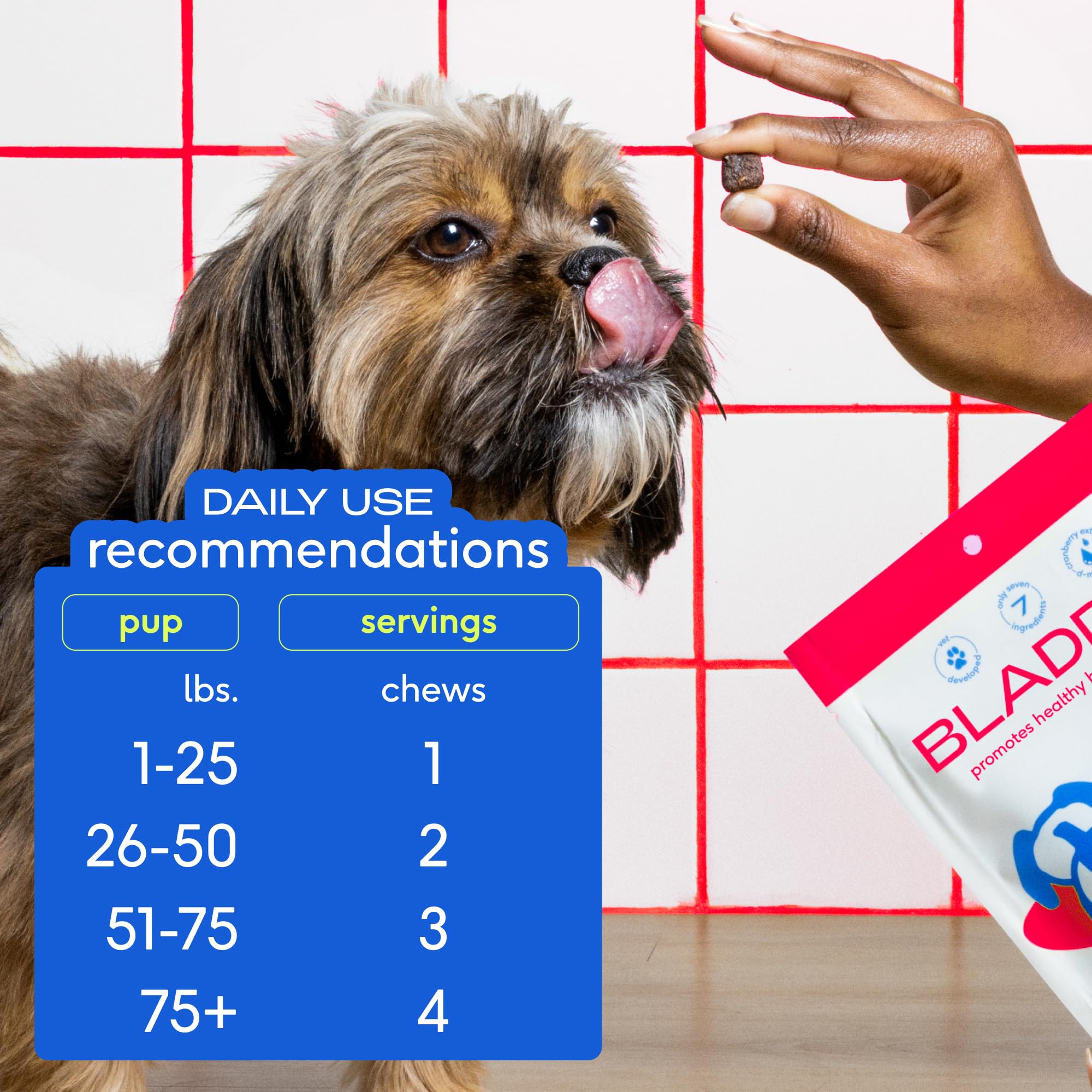 Native Pet Real chicken flavor UTI chews visually appealing to dogs.