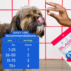 Native Pet Real chicken flavor UTI chews visually appealing to dogs.