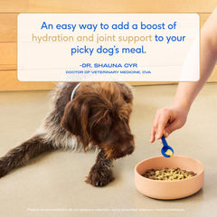 Native Pet Turkey Bone Broth Powder cat use emphasizes gentle hydration.