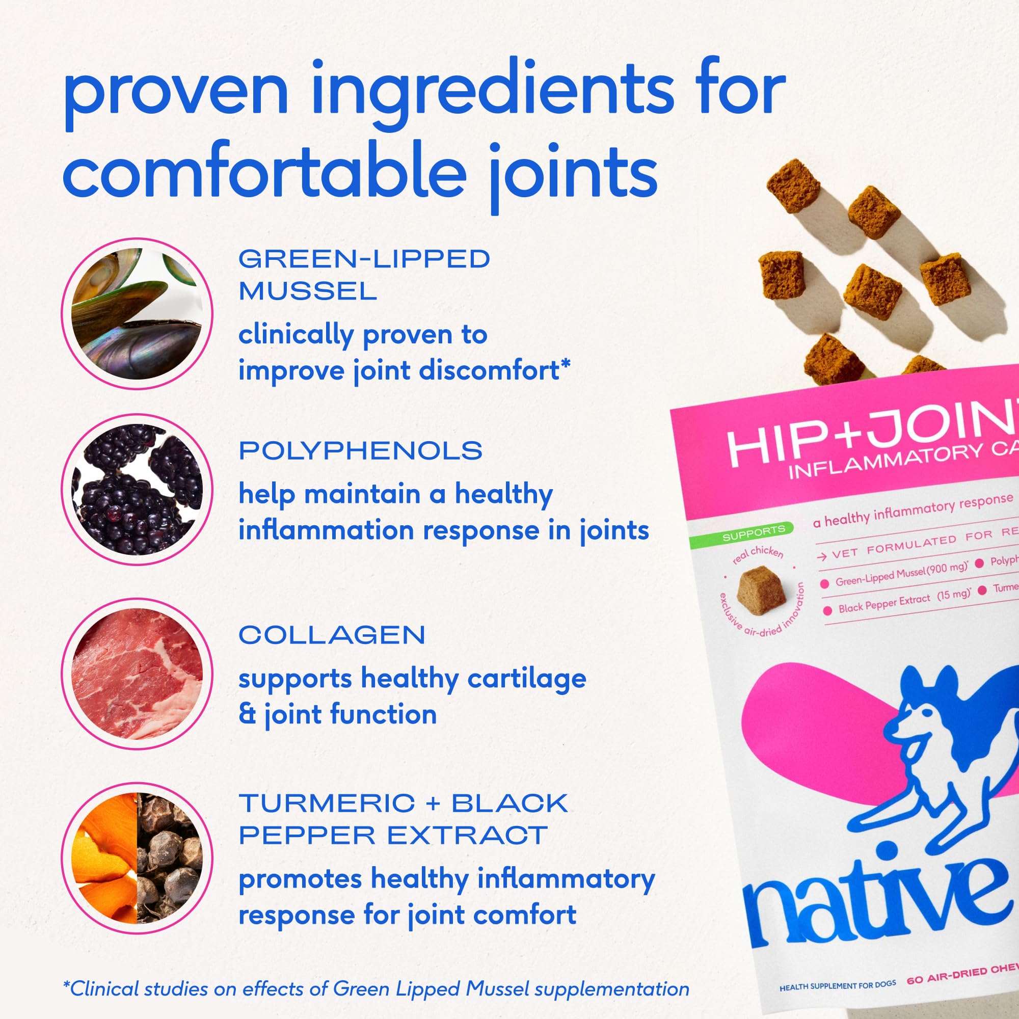 Native Pet turmeric dog joint supplement demonstrates sources of natural support for mobility.