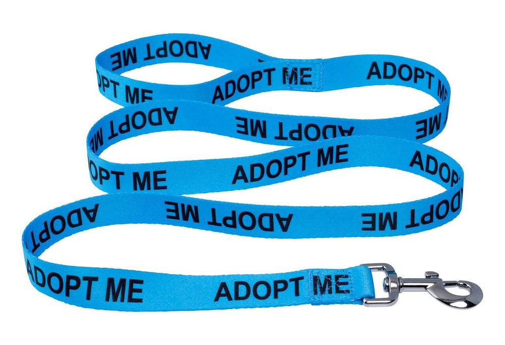 Native Pup Adopt Me leash close-up of durable metal clasp for secure attaching