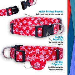 Native Pup candy cane collar; bright seasonal flair for festive photo ops and everyday wear