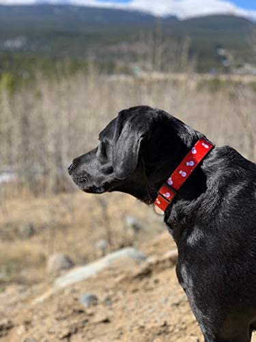 Native Pup Christmas dog collar size chart for perfect fit guidance