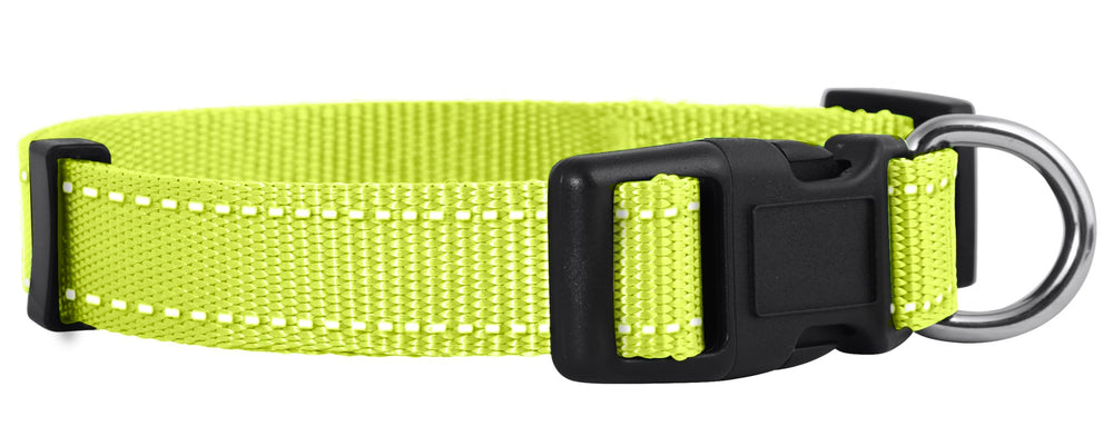 Native Pup reflective collar neon glow for safer night walks
