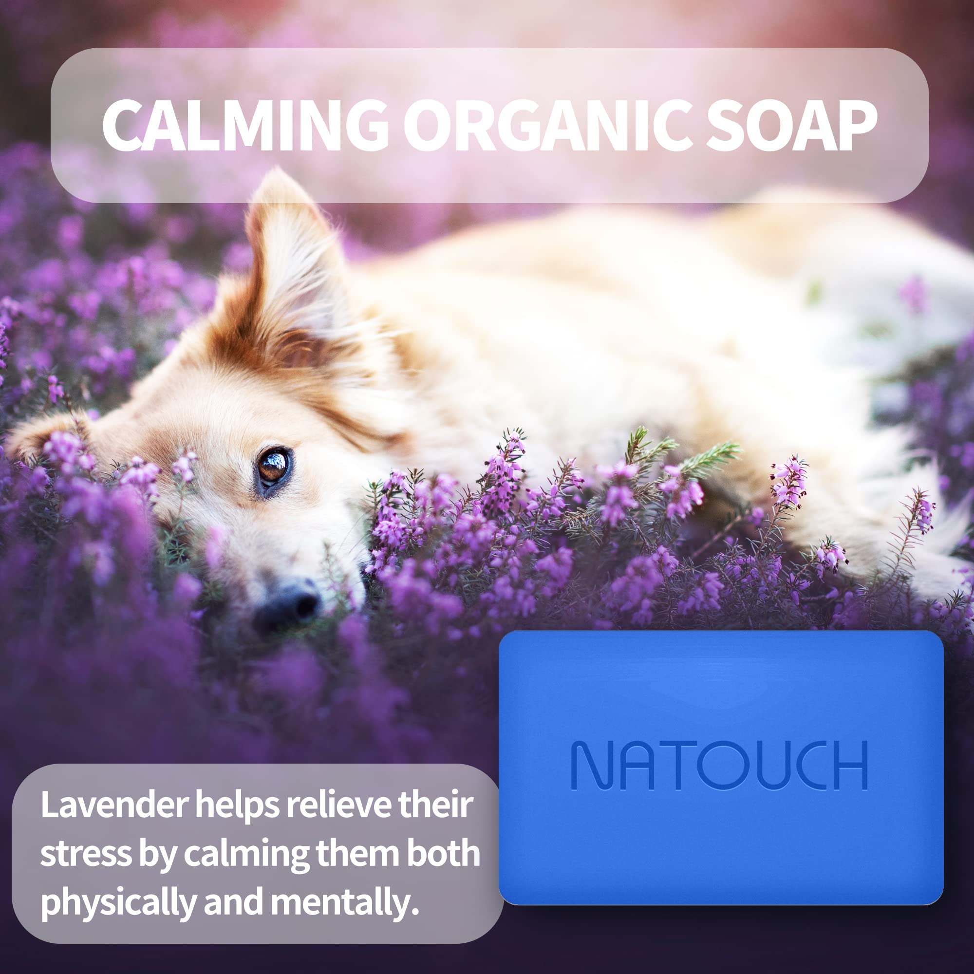 Natouch dog care routine setup showing safe, gentle grooming