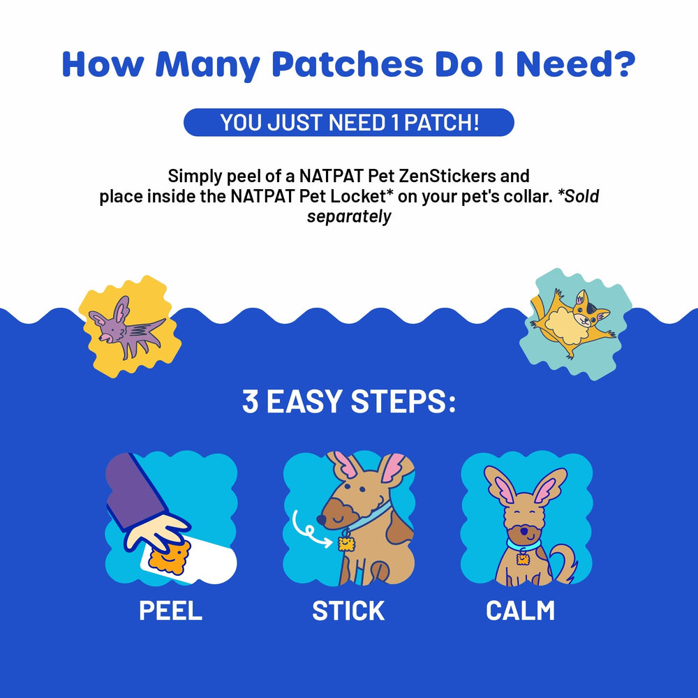 NATPAT Pet Zen Patches separation anxiety scene demonstrates use during alone time.