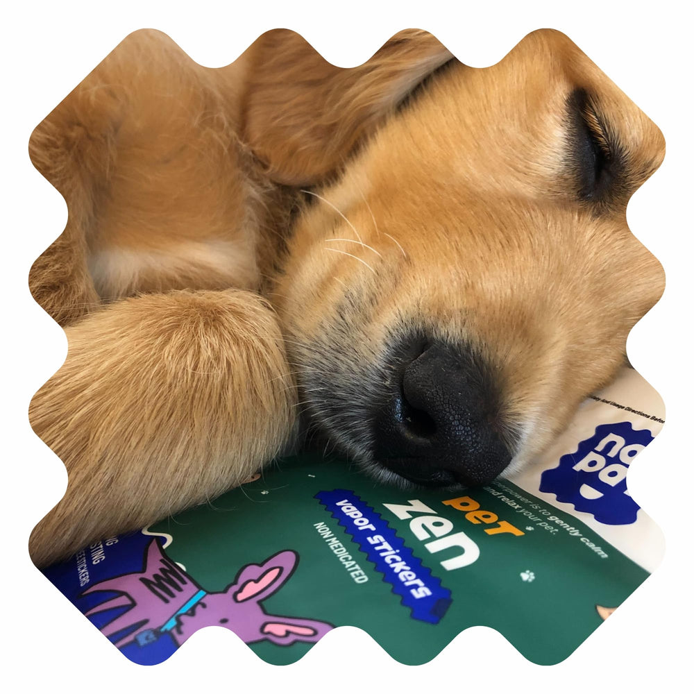 NATPAT Pet Zen Patches travel scene suggests suitability during travel or vet visits.