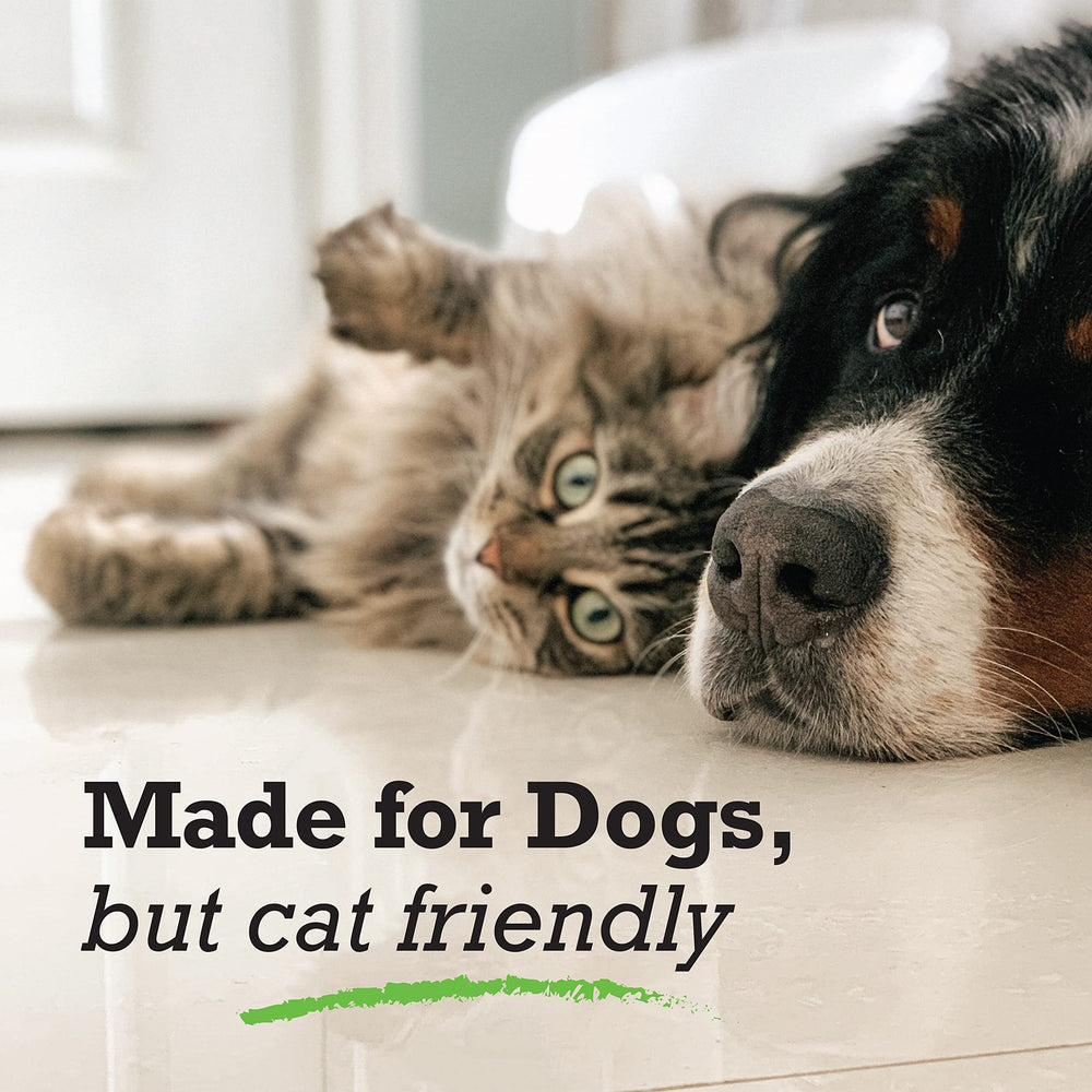 NatrixOne camelina oil for dogs reduces itchy skin and flakes.