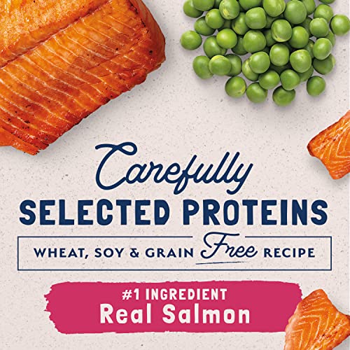 Natural Balance 4-pound bag packaging photo shows value and clear product labeling.