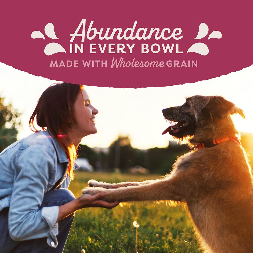 Natural Balance Fat Dogs serving portion in dish.