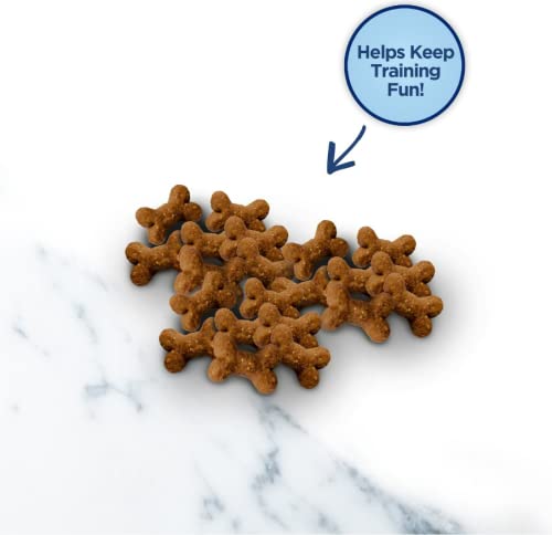Natural Balance salmon Mini Rewards with no artificial flavors for daily rewarding.