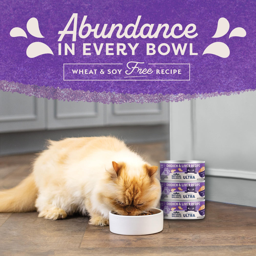 Close-up of Natural Balance Ultra cat food can for everyday meals.