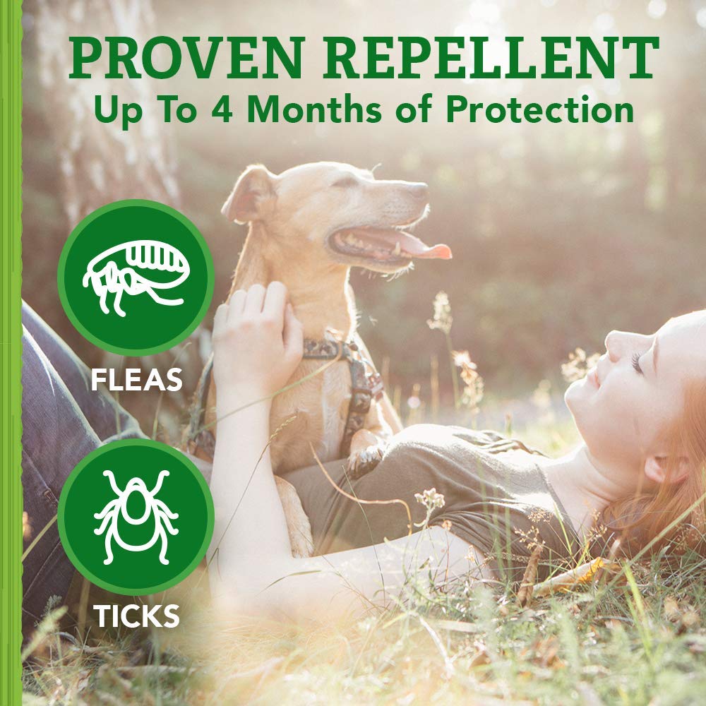 Natural Care oils close-up highlights plant-based ingredients for pest defense.