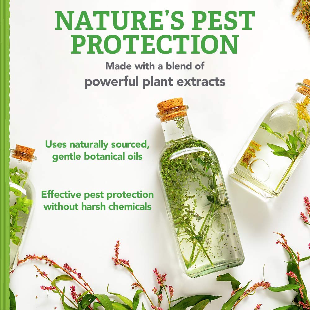 Natural Care water-resistant collar image suggests durable protection during adventures and rain.