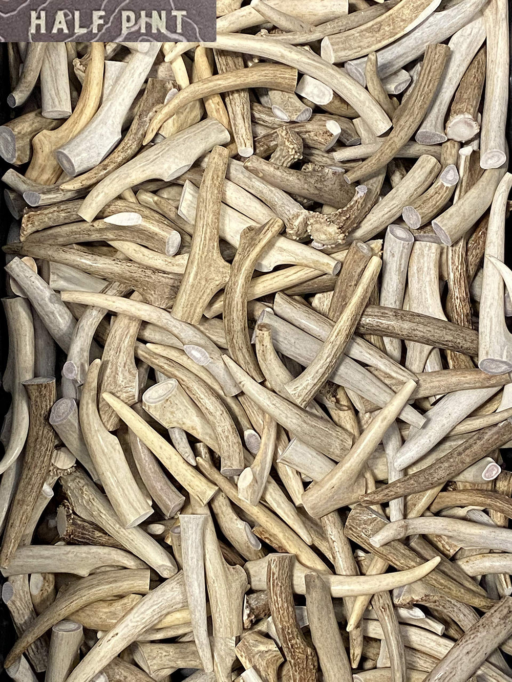 Natural Dakota Half-Pint close-up highlights natural texture supporting long-lasting chewing sessions.
