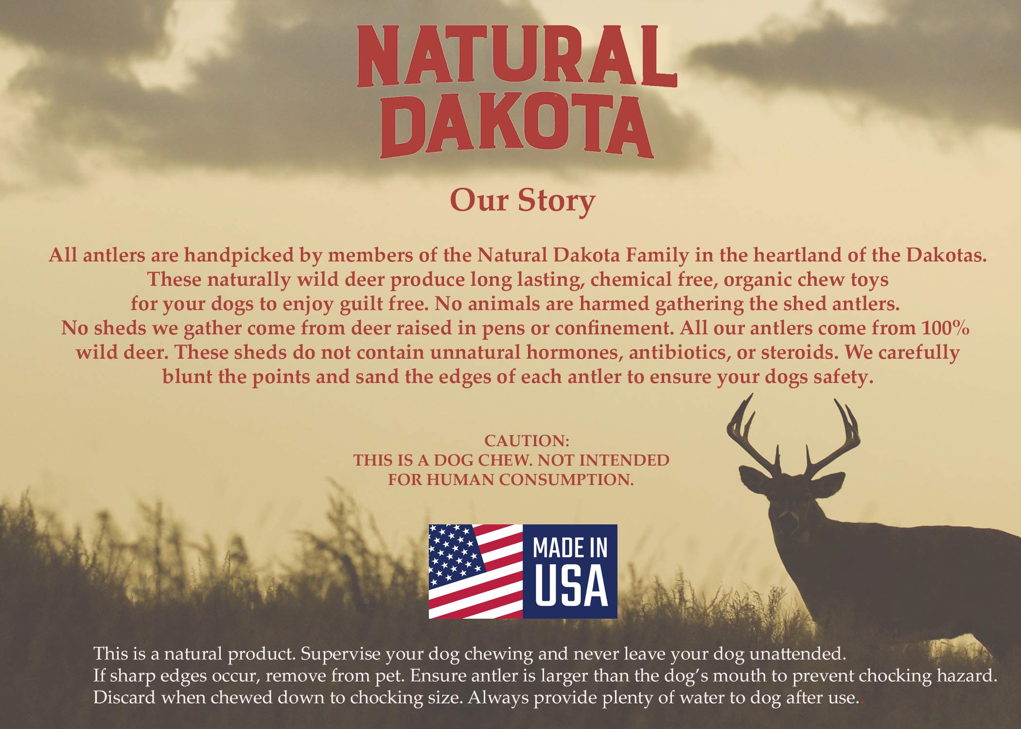 Natural Dakota Half-Pint durable chew image showcases natural calcium-rich antler.