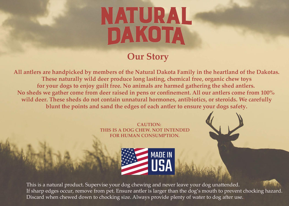 Natural Dakota Half-Pint durable chew image showcases natural calcium-rich antler.