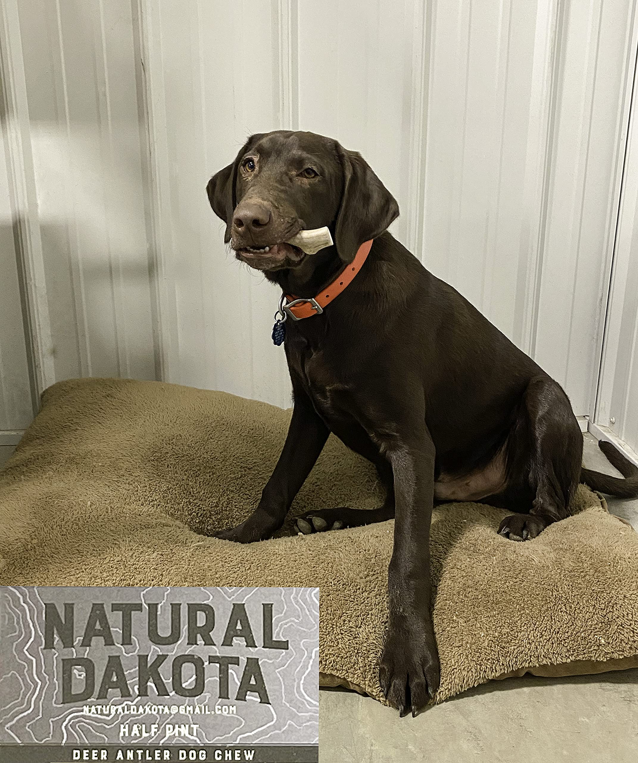 Natural Dakota Half-Pint antler packaged shows USA-made natural dog chew.