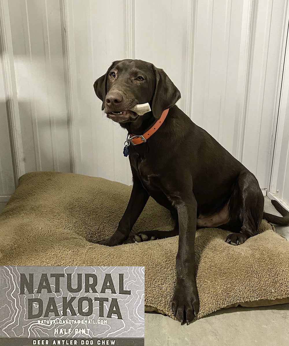 Natural Dakota Half-Pint antler packaged shows USA-made natural dog chew.