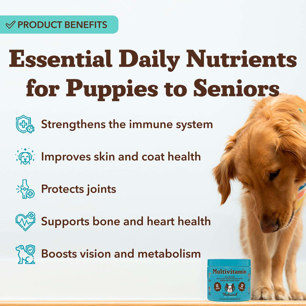 Natural Dog Company 25-in-1 soft-chews adult bottle close-up for daily energy.