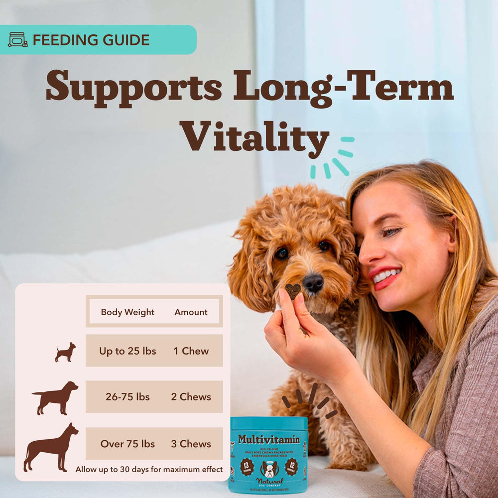 Natural Dog Company 25-in-1 soft chews heart health supports circulation.
