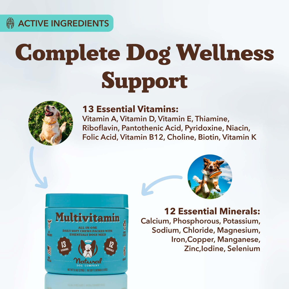 Natural Dog Company 25-in-1 soft chews joint support for flexible, active dogs.