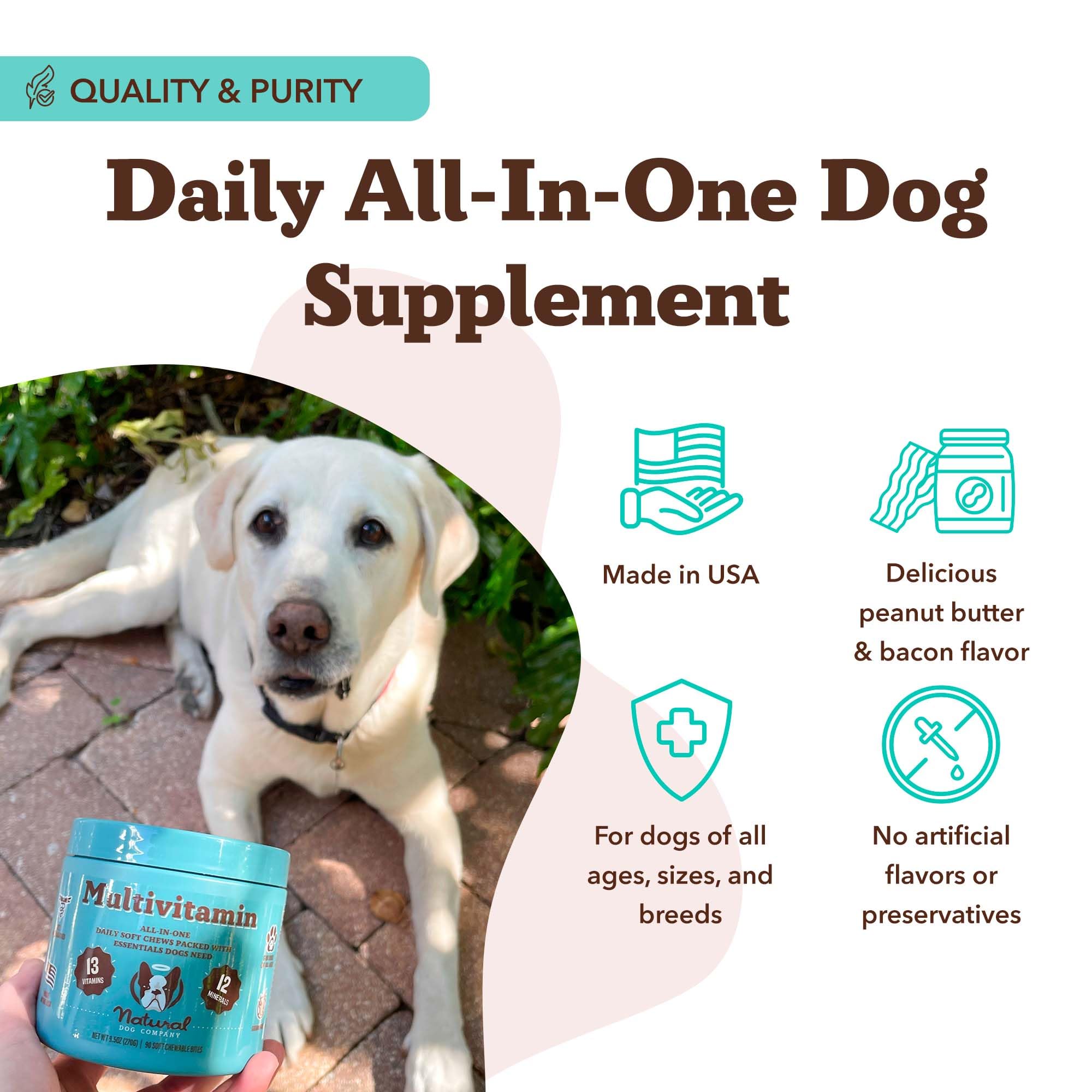 Natural Dog Company 25-in-1 soft chews made in USA quality and safety.