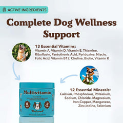 Natural Dog Company 25-in-1 soft-chews senior bottle close-up showing joint comfort.